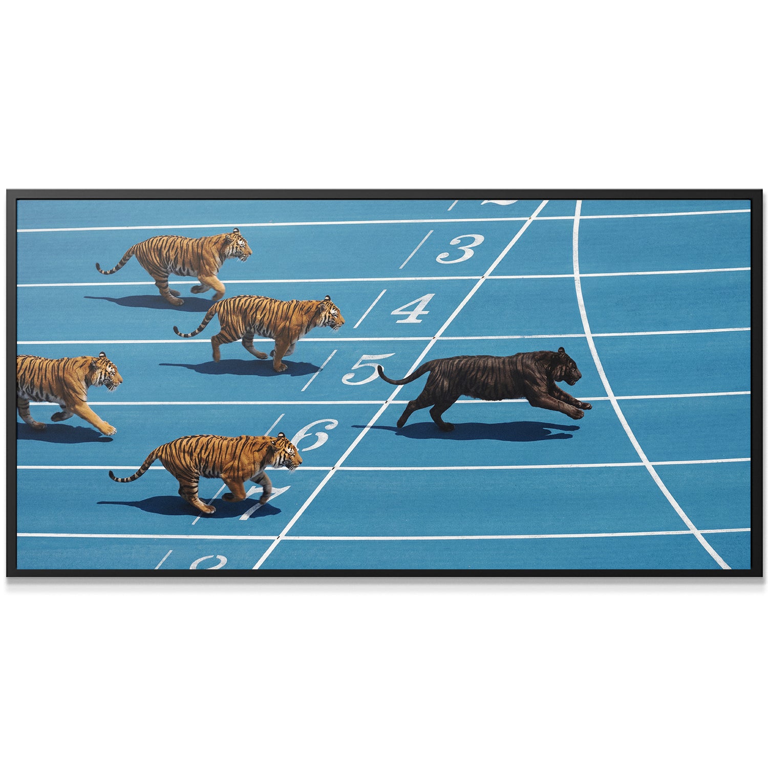 Tiger Track
