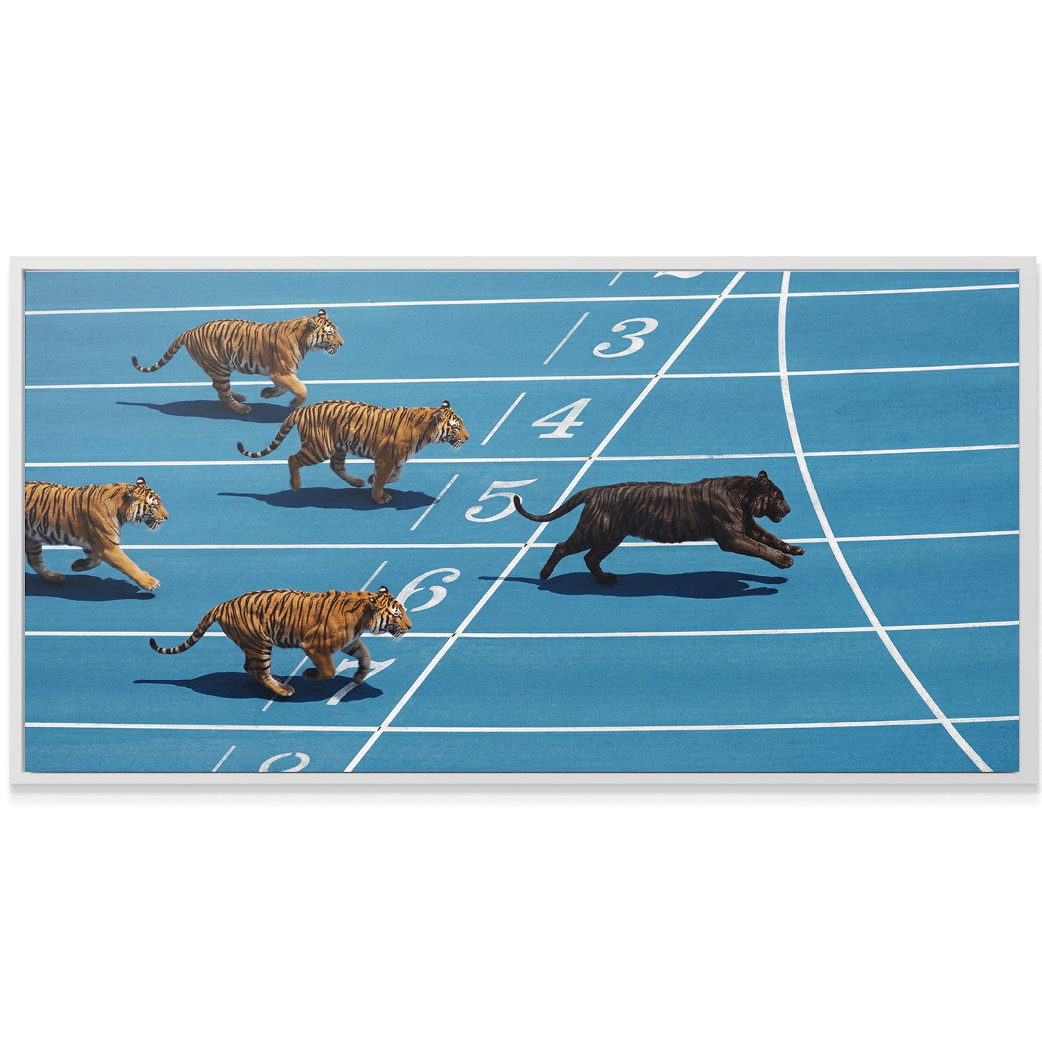 Tiger Track