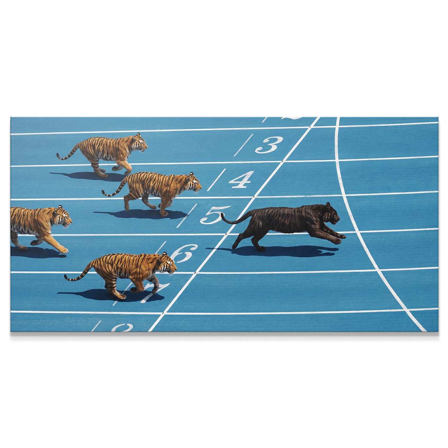 Tiger Track