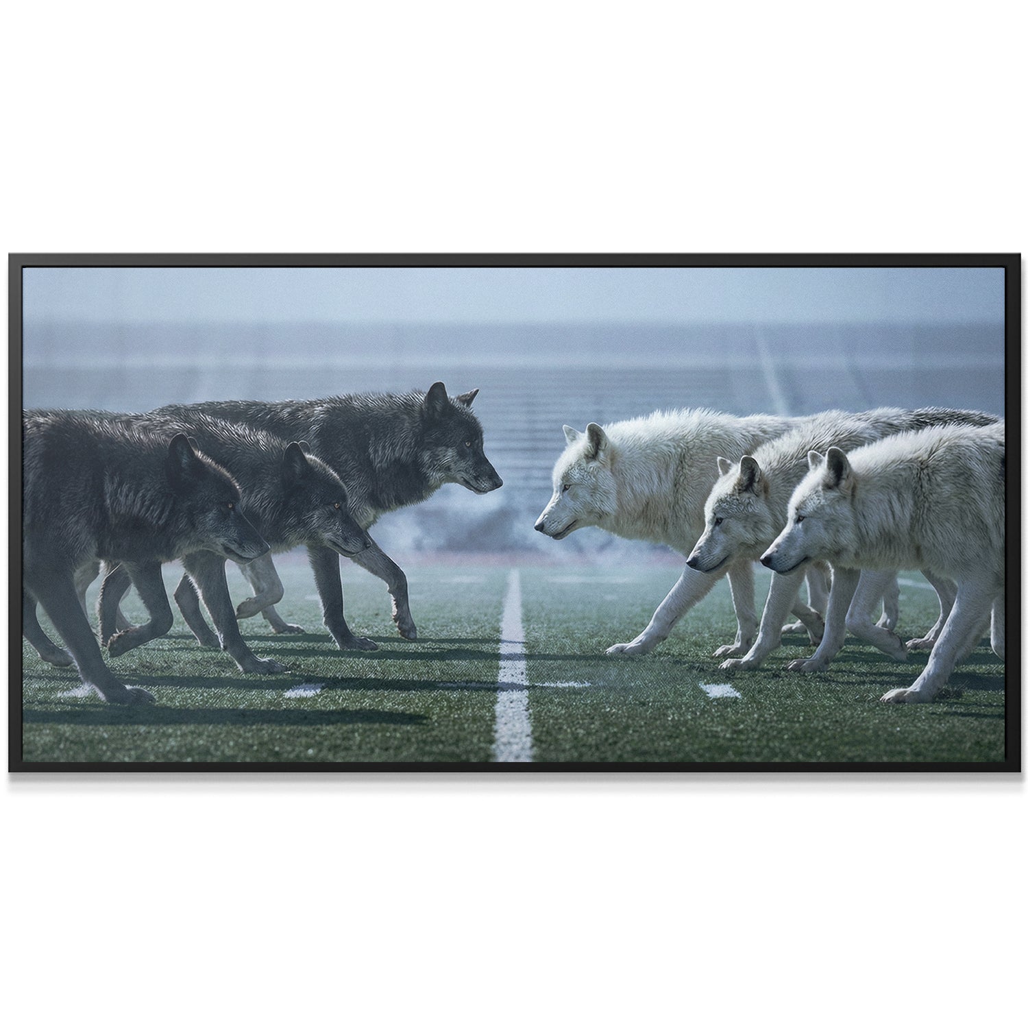 Wolf Football