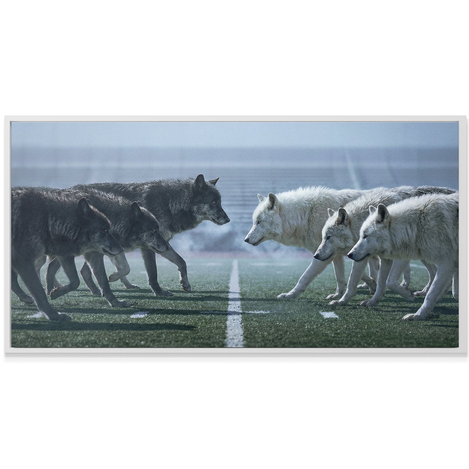 Wolf Football