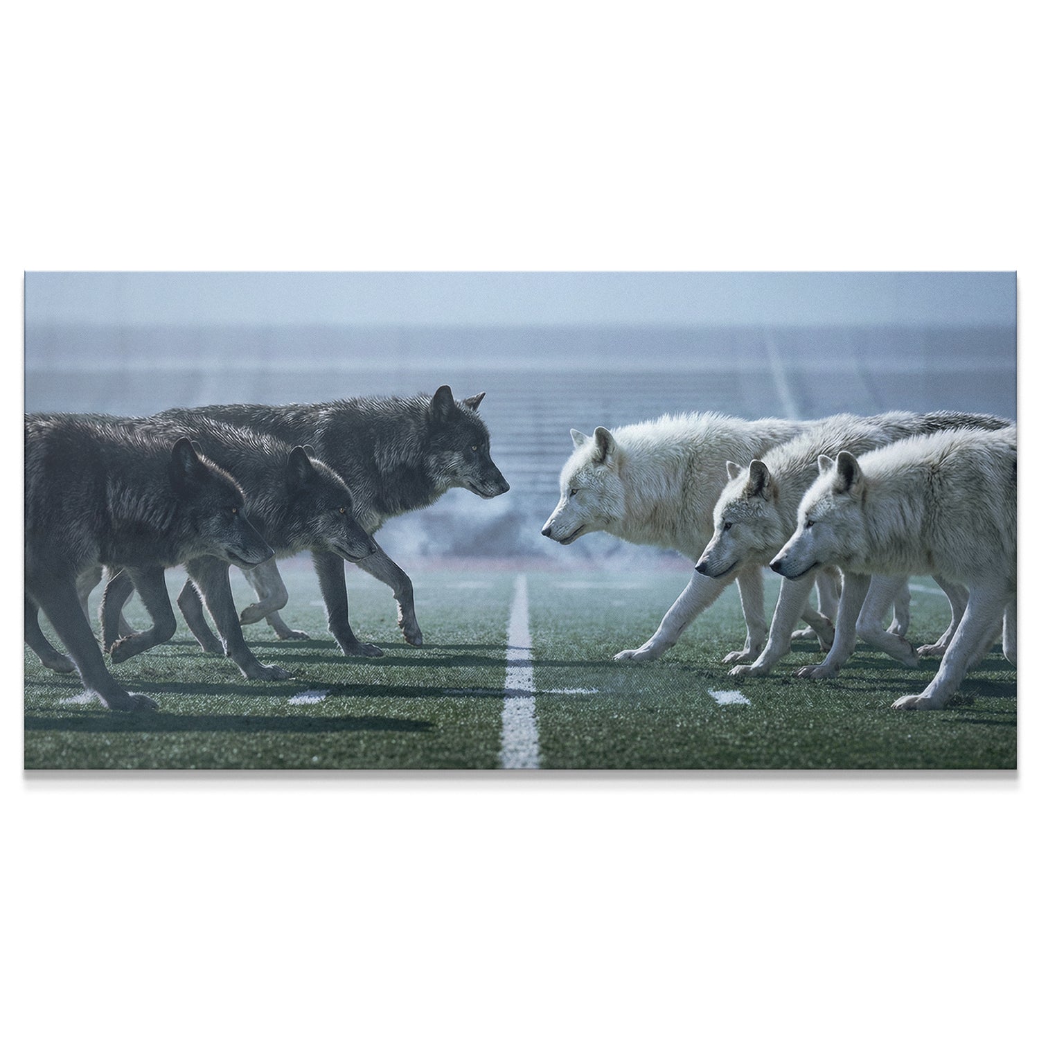 Wolf Football