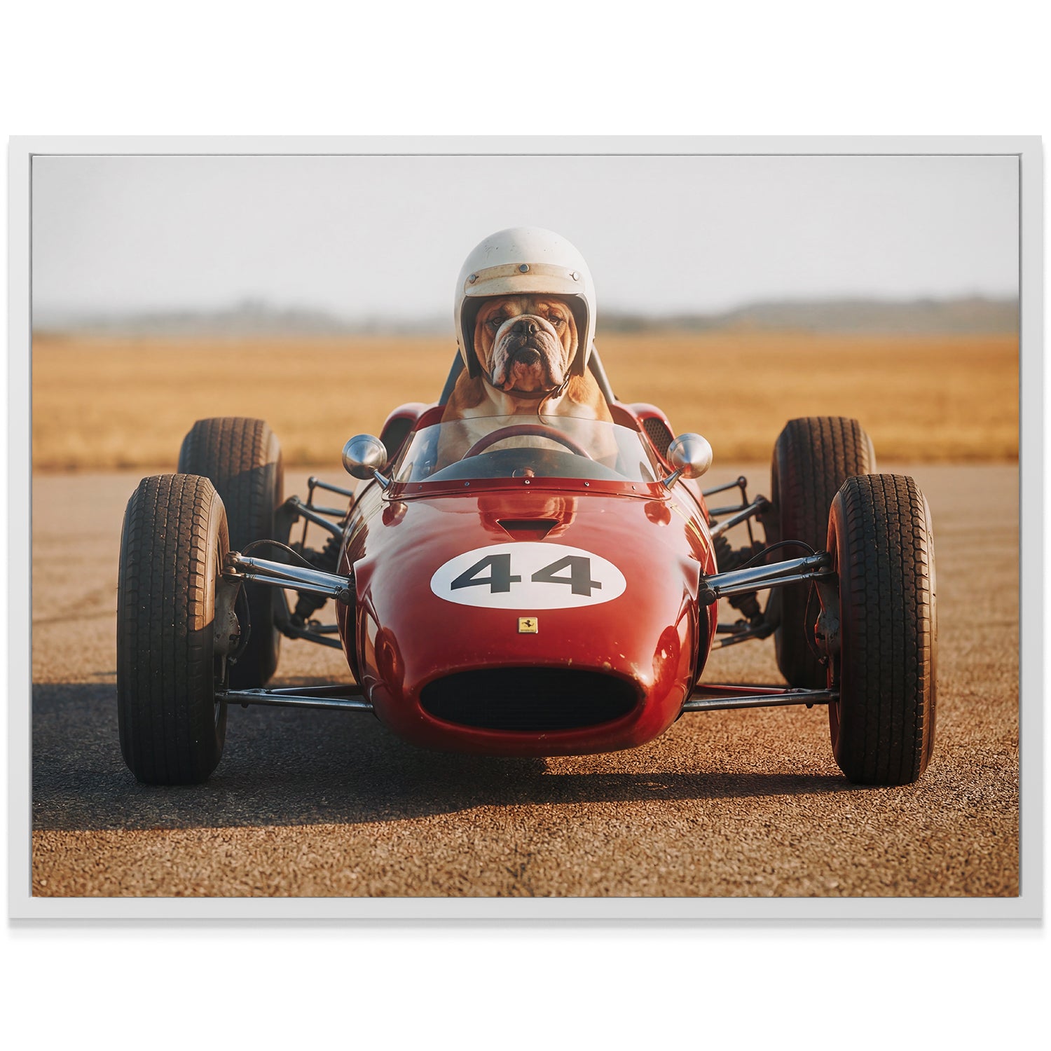 Ready To Race