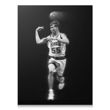 Jason Williams - #1 - IKONICK - NBA Legends