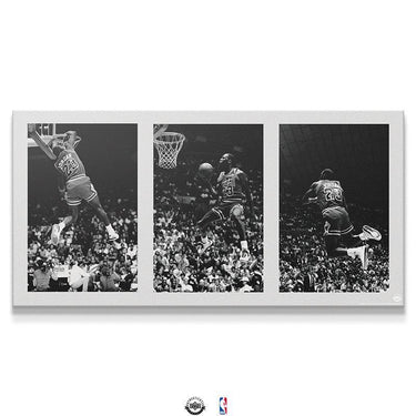 Michael Jordan - Frame to Fame