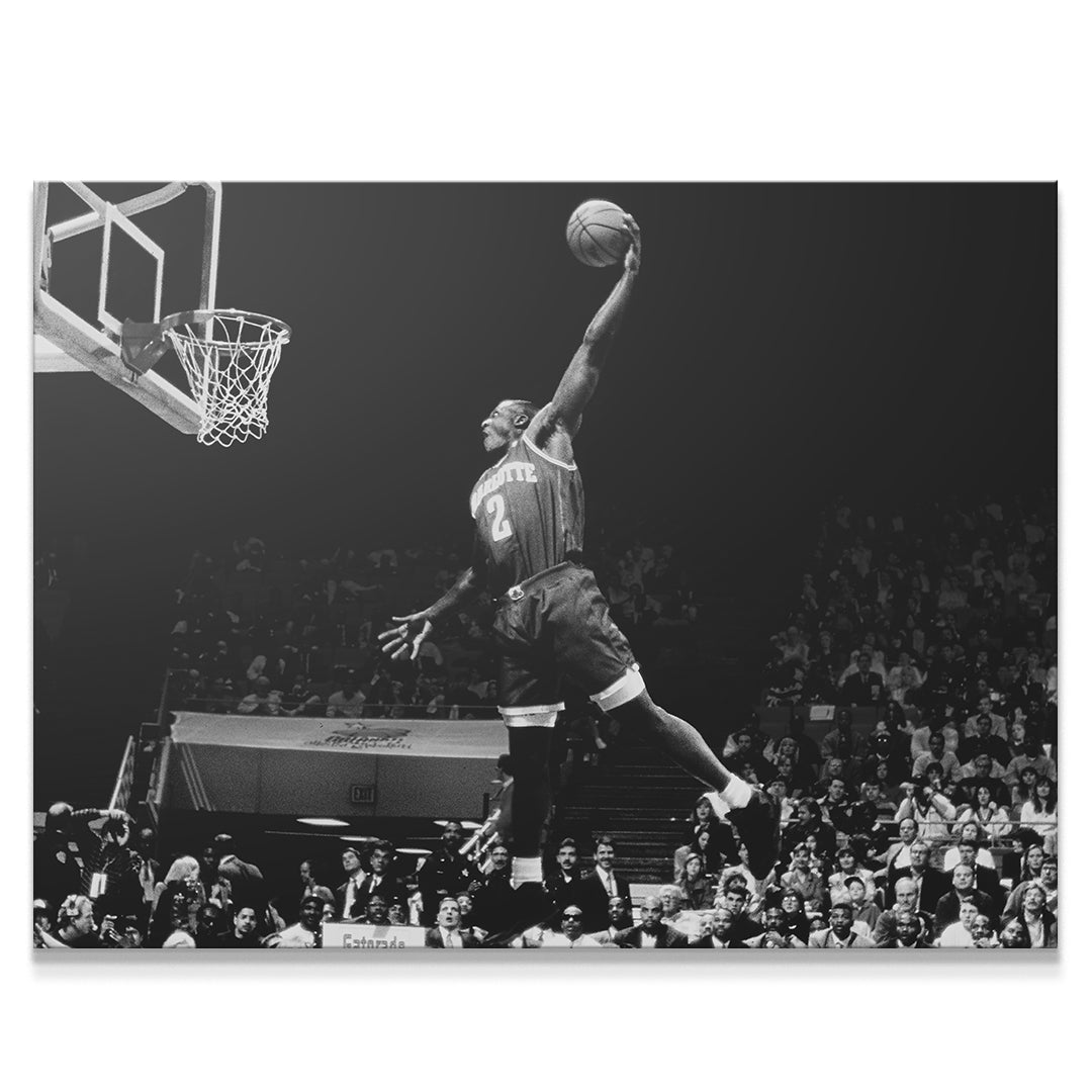 Larry Johnson - 2 - IKONICK - NBA Legends