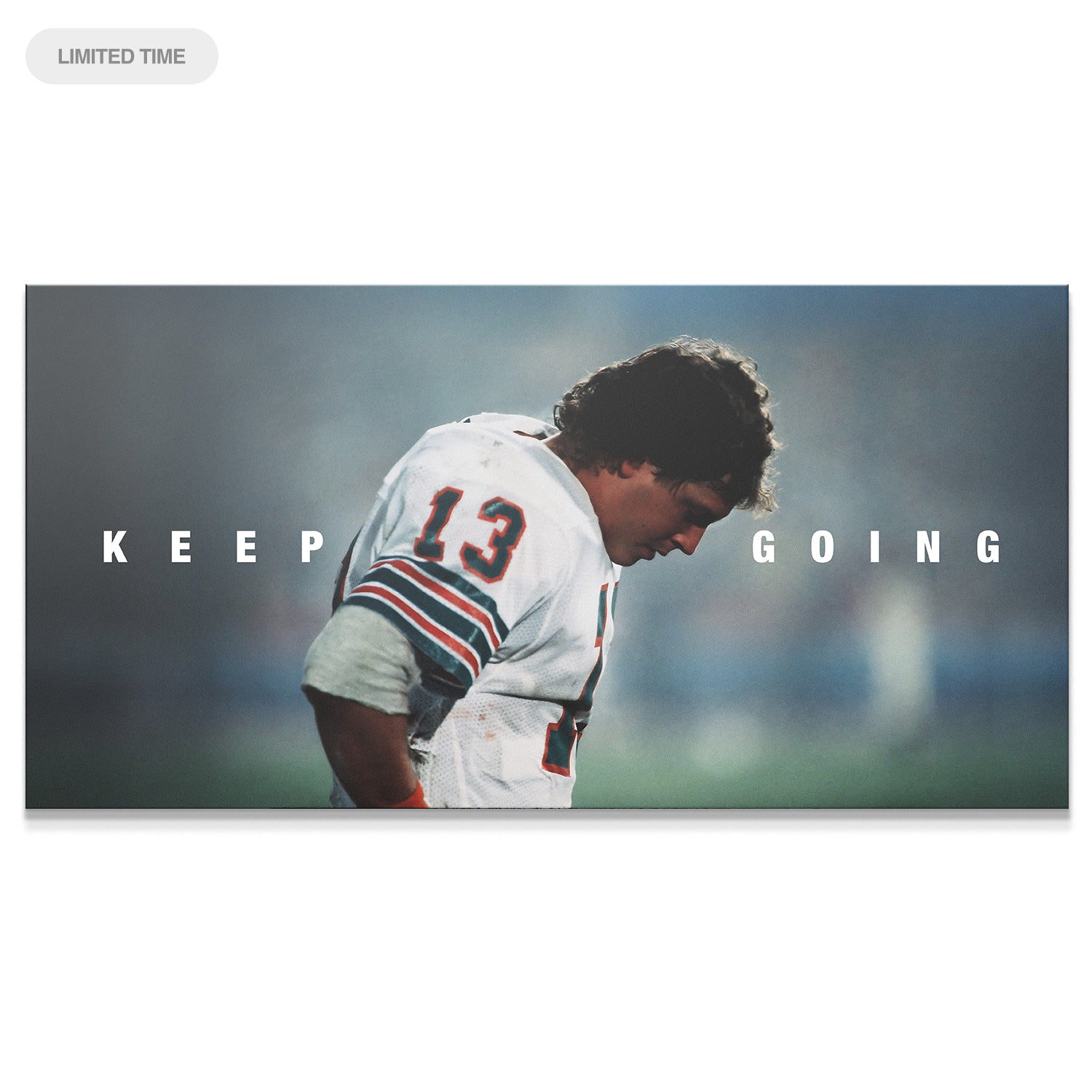 Dan Marino - Keep Going - IKONICK - Dan Marino