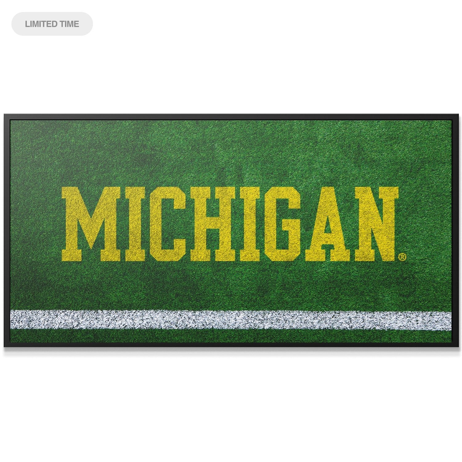 Michigan - Field Logo - IKONICK - IKONICK Original