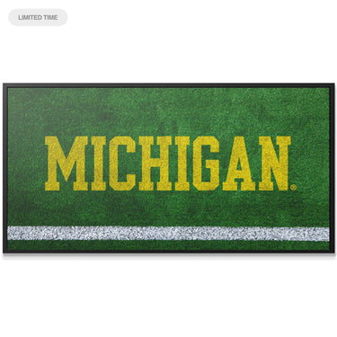 Michigan - Field Logo