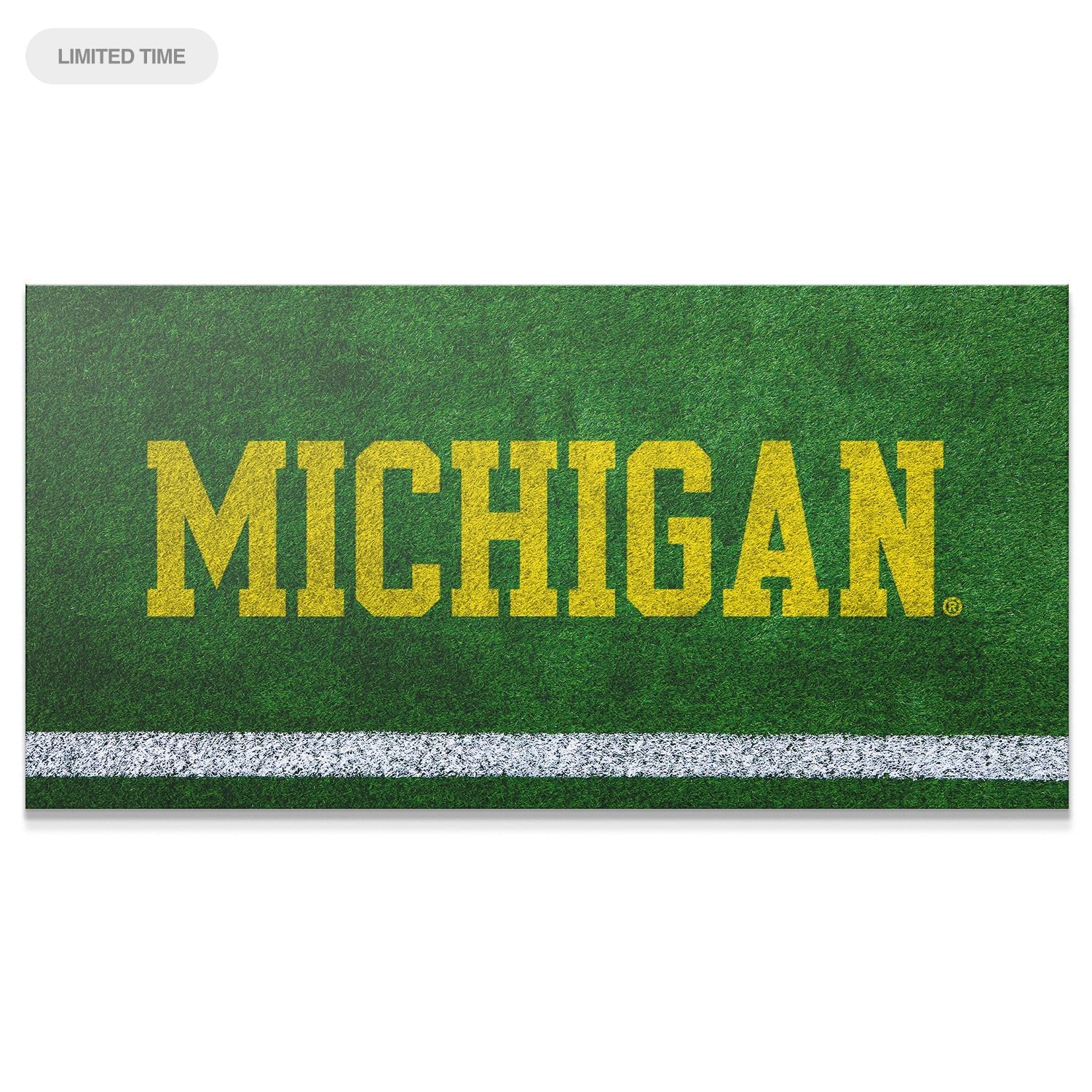 Michigan - Field Logo