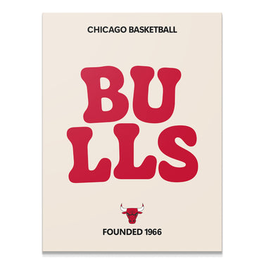 Broken Text - Bulls