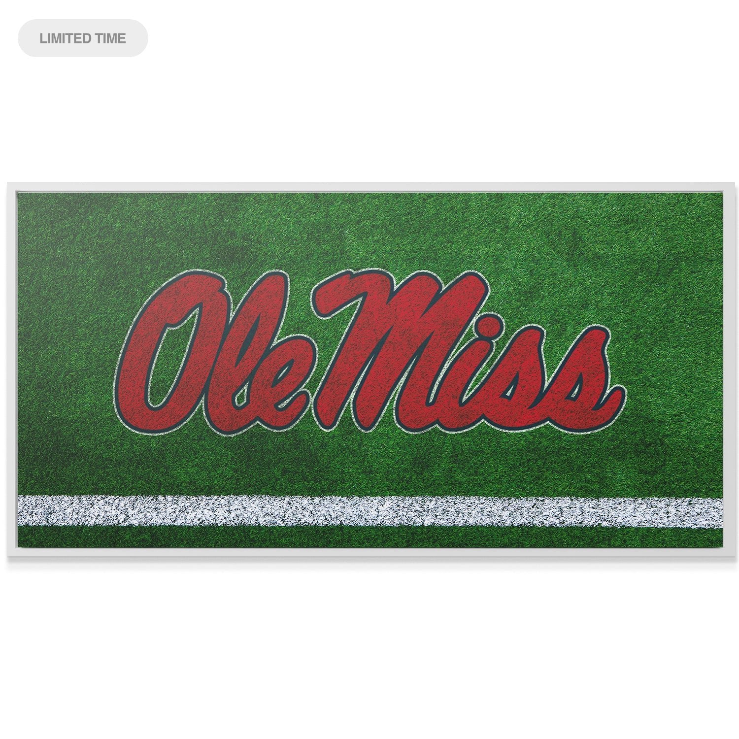 Ole Miss - Field Logo