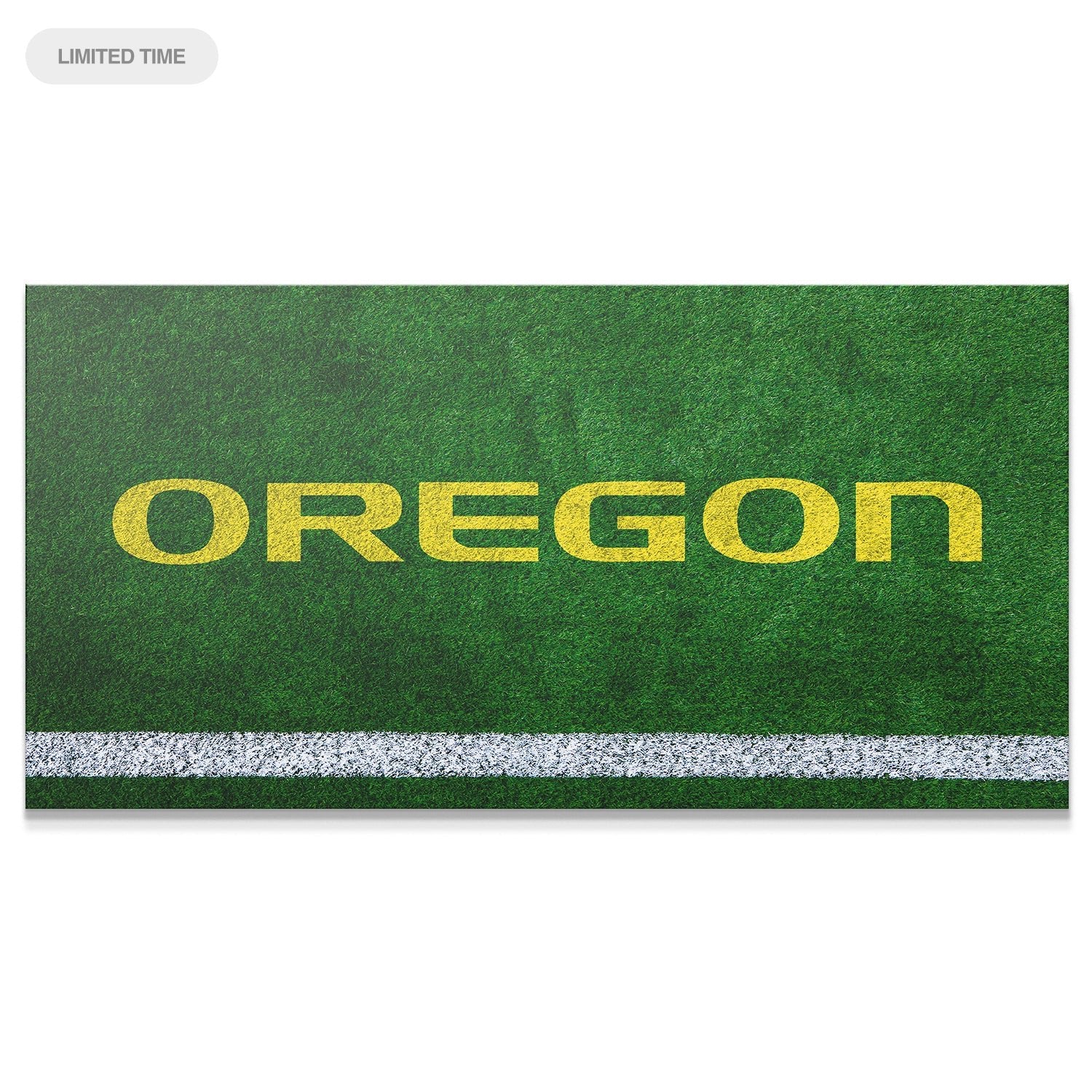Oregon - Field Logo