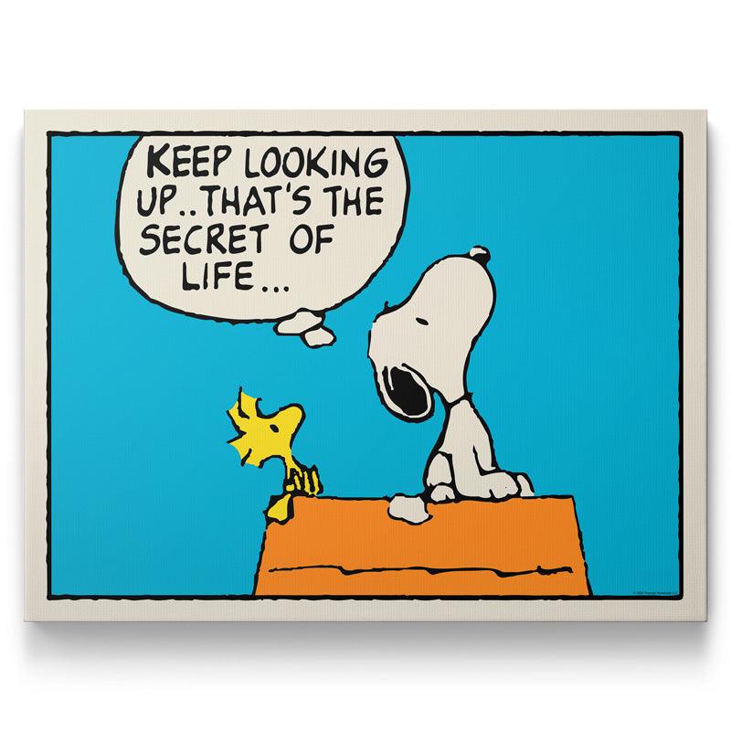PEANUTS - Keep Looking Up - IKONICK - Peanuts