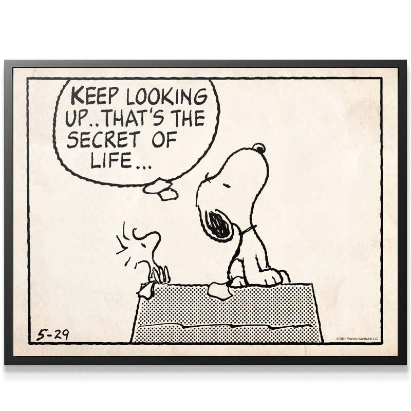 Peanuts - Keep Looking Up - Sketch - IKONICK - Peanuts