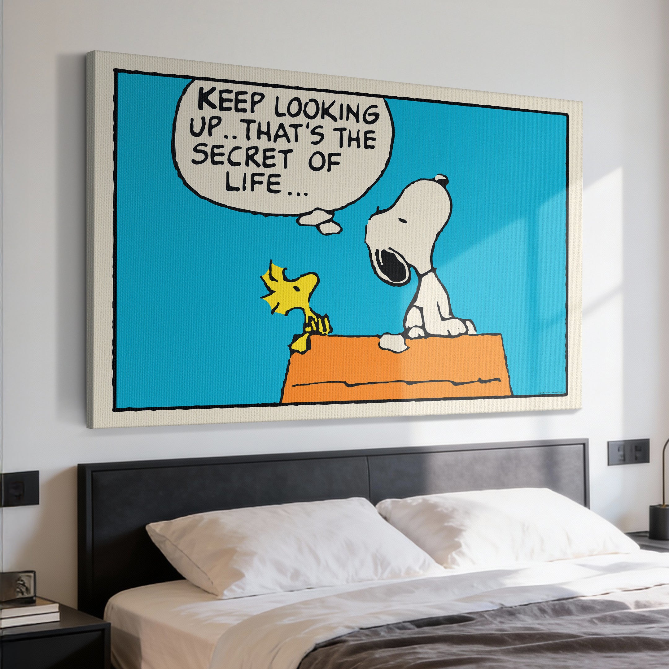 PEANUTS - Keep Looking Up