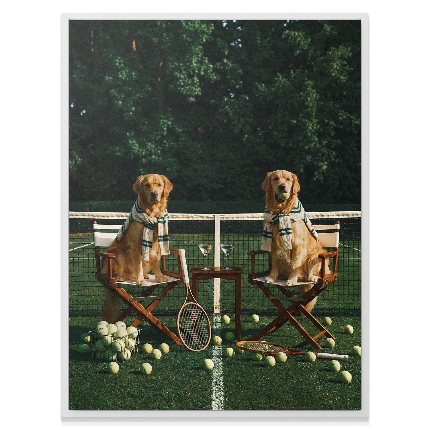 Puppy Tennis