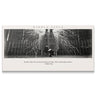 Nikola Tesla - Be Alone