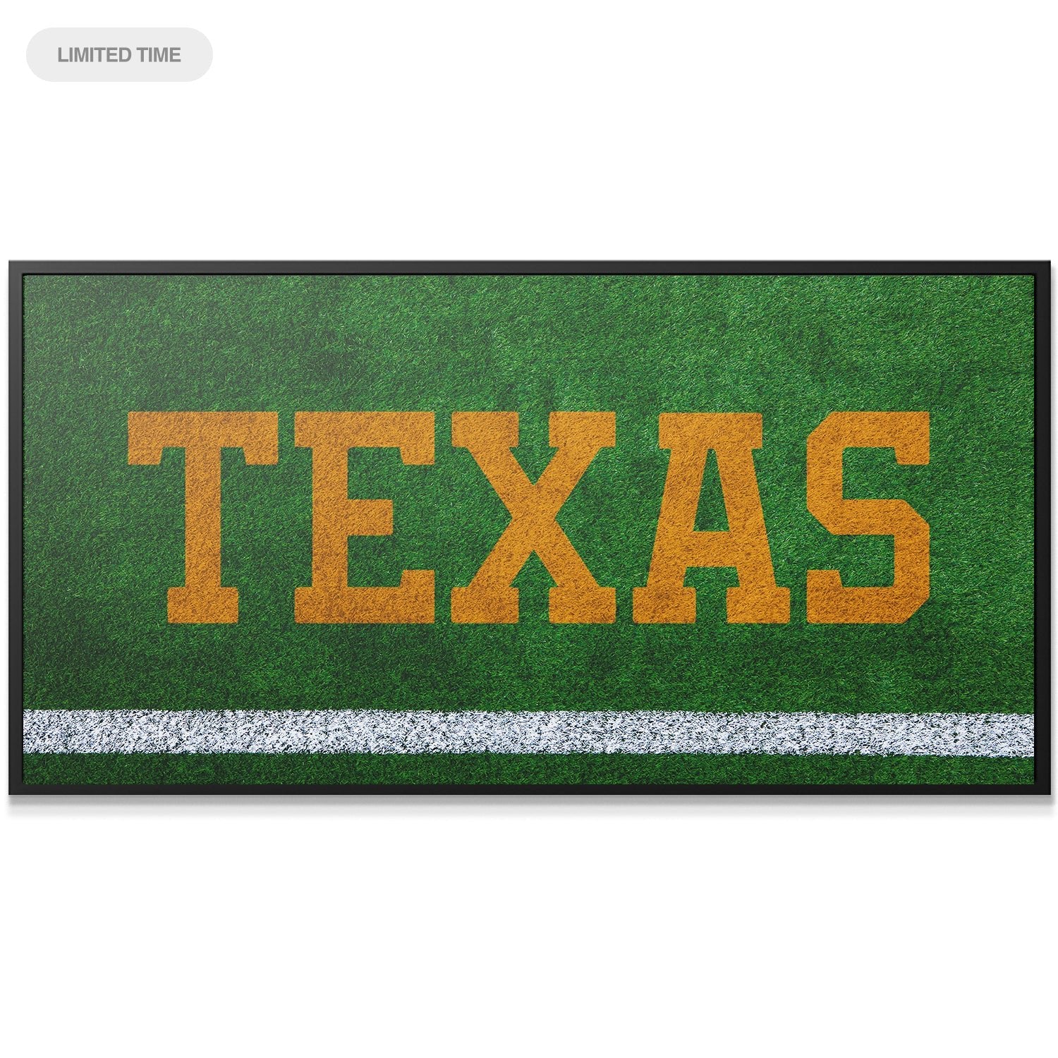 Texas - Field Logo - IKONICK - IKONICK Original