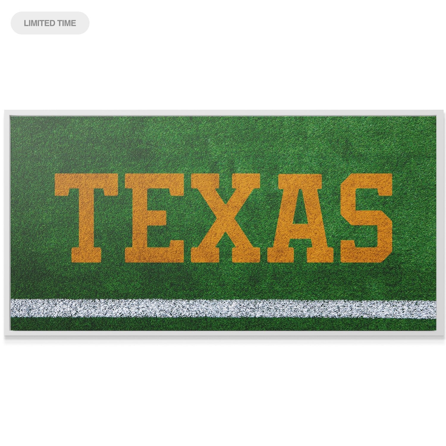Texas - Field Logo - IKONICK - IKONICK Original