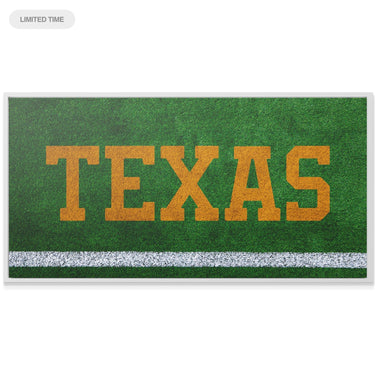 Texas - Field Logo