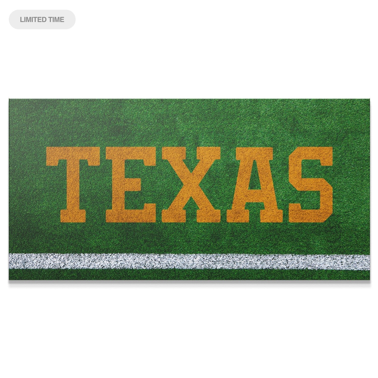 Texas - Field Logo