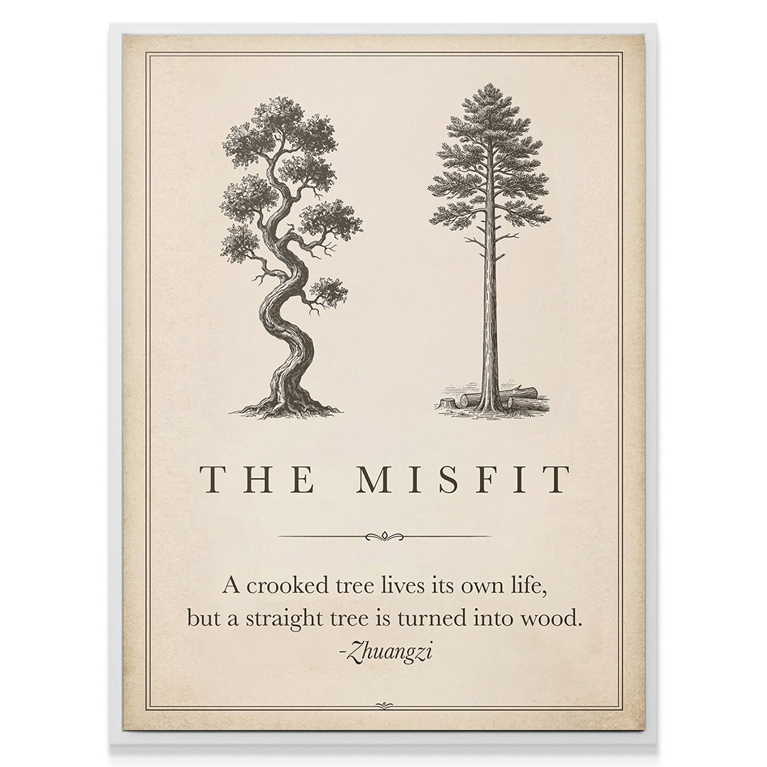 The Misfit