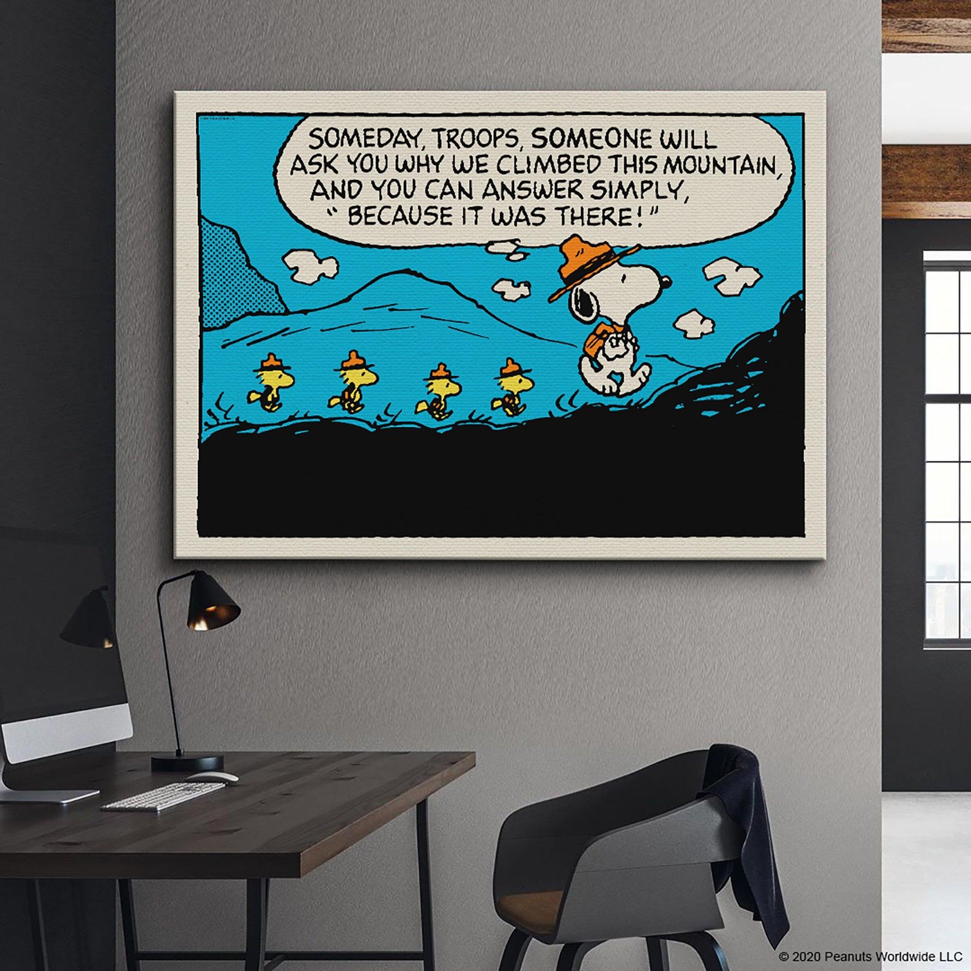 PEANUTS - The Mountain - IKONICK - Peanuts