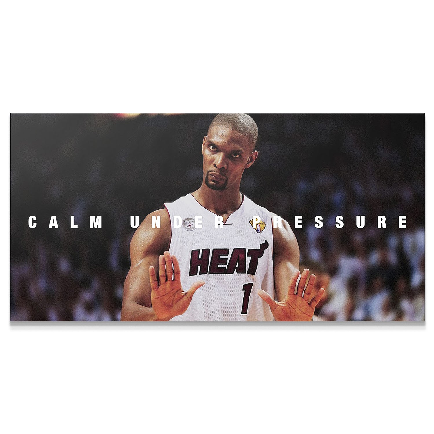 Chris Bosh - Calm - IKONICK - NBA Legends