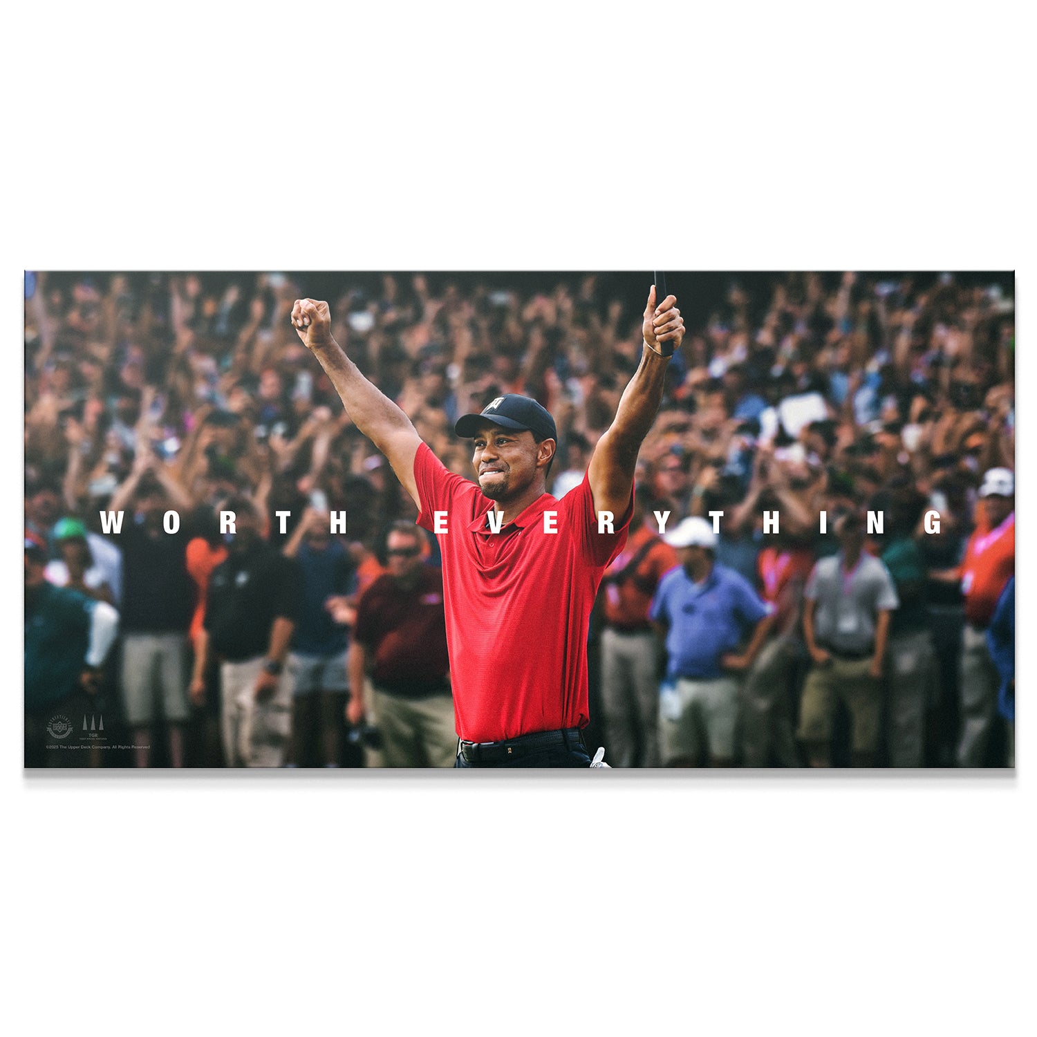 Tiger Woods - Worth Everything - IKONICK - Tiger Woods