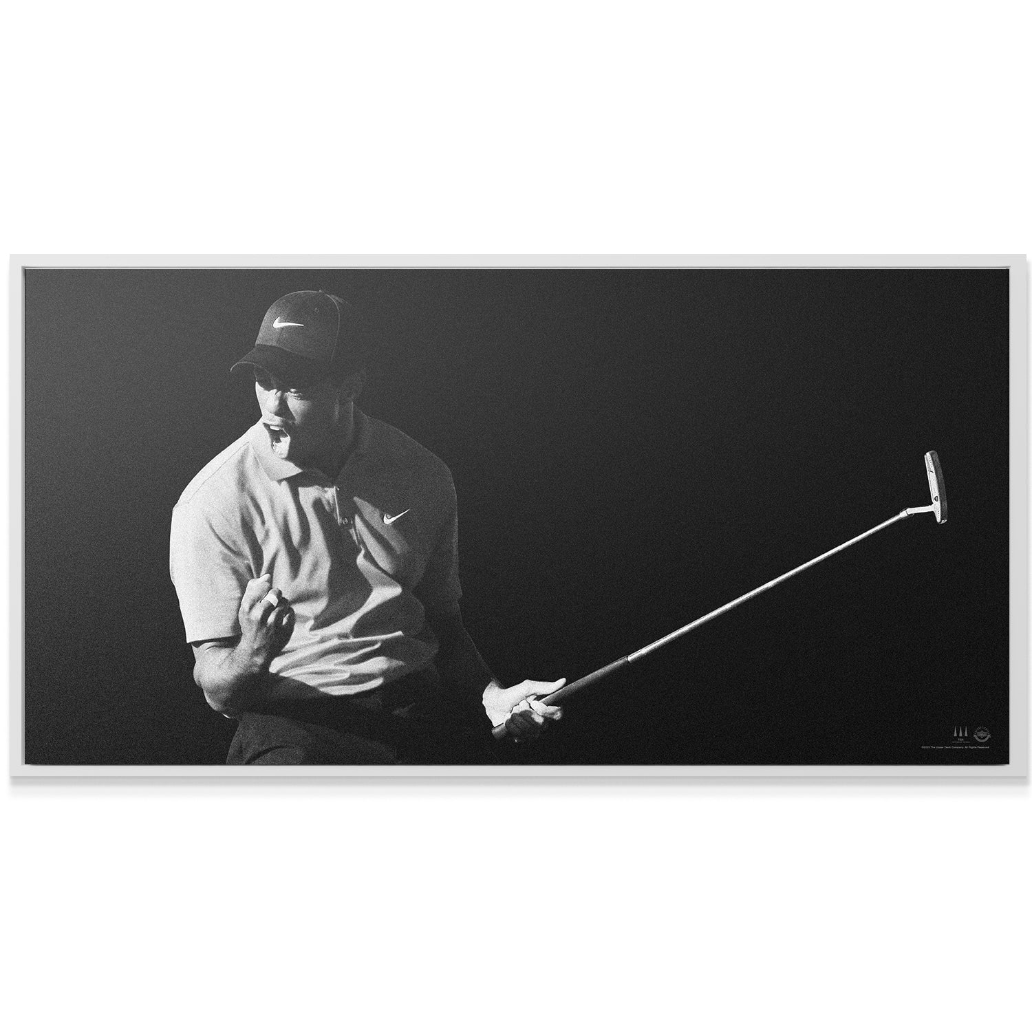 Tiger Woods - Flash - IKONICK - Tiger Woods