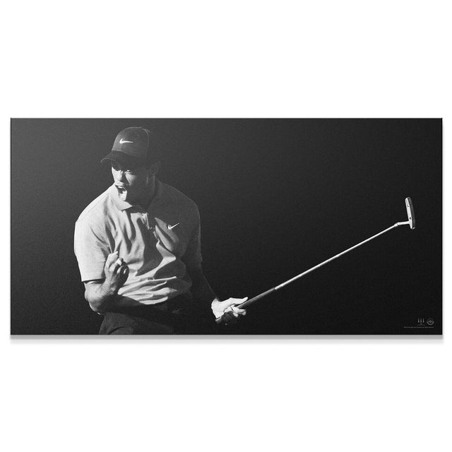Shop Tiger Woods Canvas Wall Art Flash Only from IKONICK