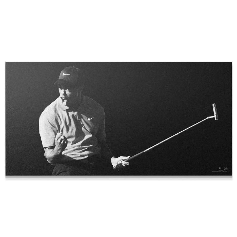 Tiger Woods - Flash - 30x15