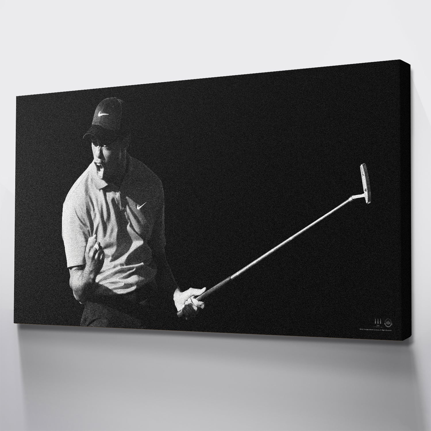 Tiger Woods - Flash - IKONICK - Tiger Woods