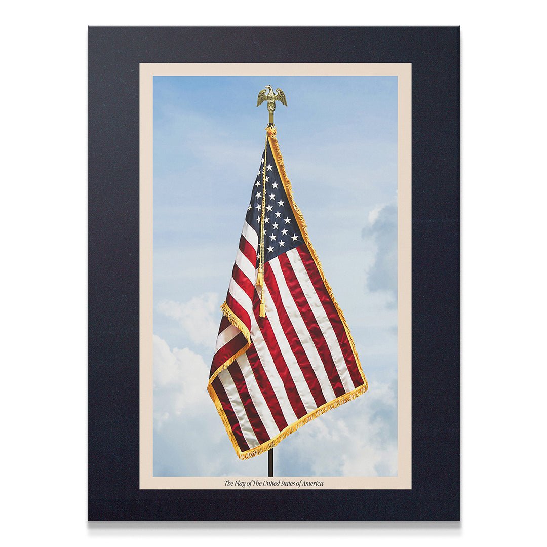 USA Flag 2