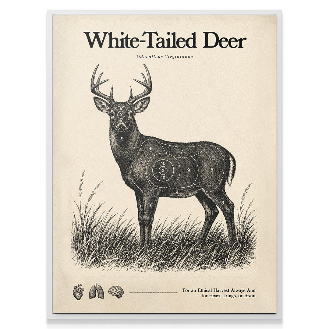 White Tailed Deer Target Sheet