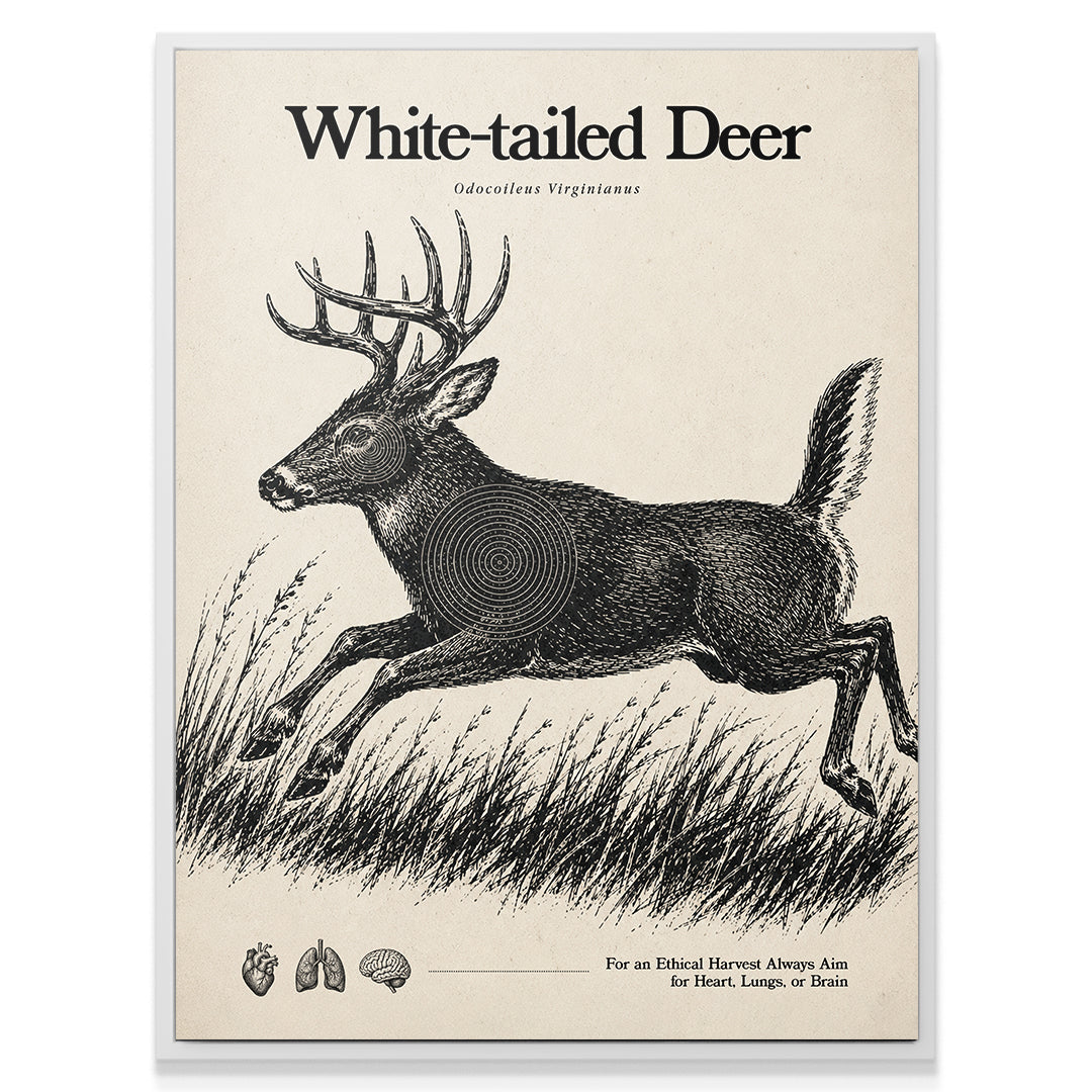 White Tailed Deer Target Sheet - Run