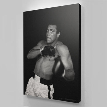 Muhammad Ali - Shadow