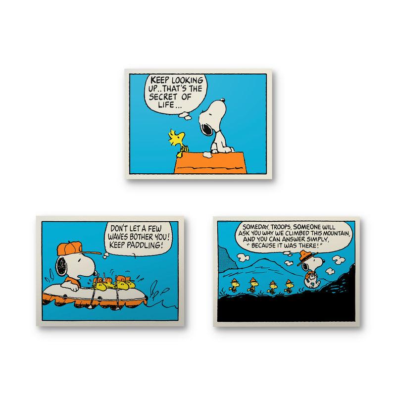 Peanuts - Comic Book Bundle - IKONICK - Peanuts